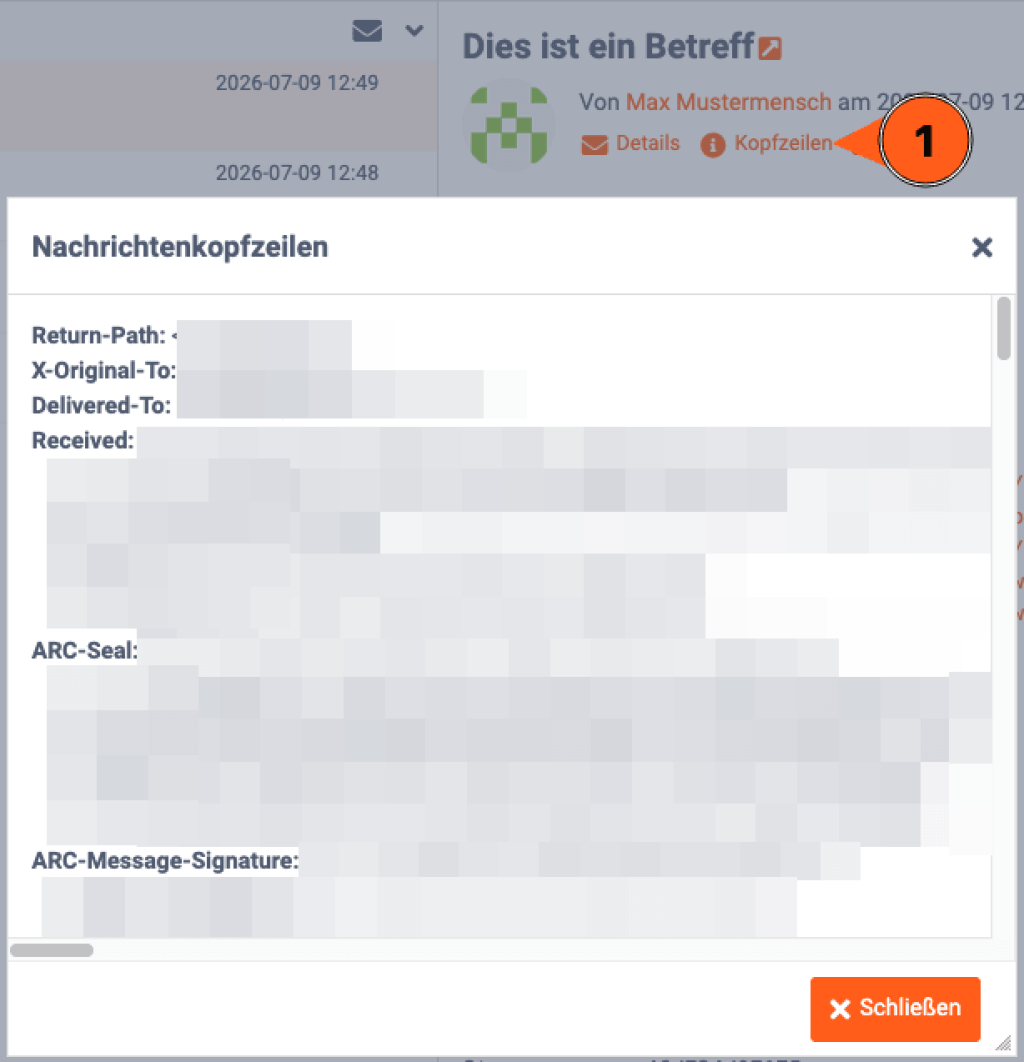 Im webgo Webmailer &ouml;ffnet ein Klick auf &bdquo;Kopfzeilen&ldquo; die Nachrichtenkopfzeilen mit technischen E-Mail-Headerdaten.